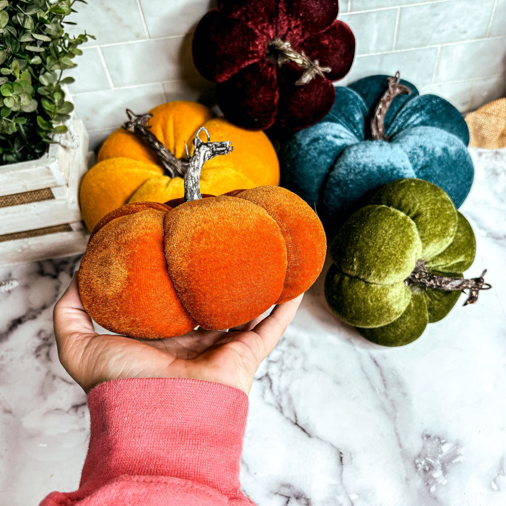 Velvet pumpkins decor
velvet pumpkin decor ideas
velvet pumpkin decoration
velvet pumpkins with real stems